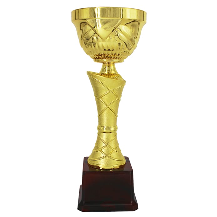 Fiber Trophy - KA1514