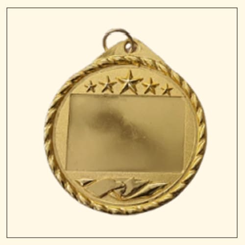Medal  - KA2010