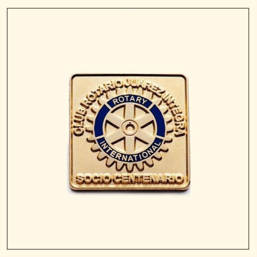 Lapel Pin  - PIN509